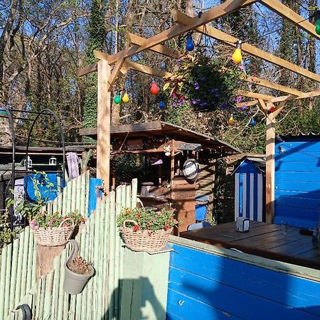 Maison 70M2 Calme Vue Sur Foret Salles  Exterior foto